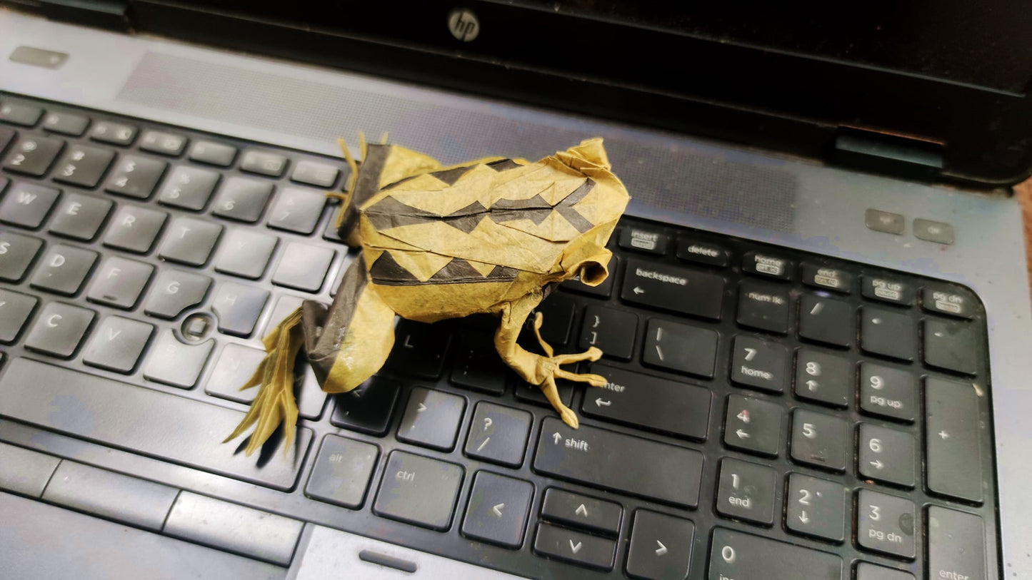ORIGAMI DART FROG INSTRUCTION DIAGRAM - ORIGAMI FROG EBOOK
