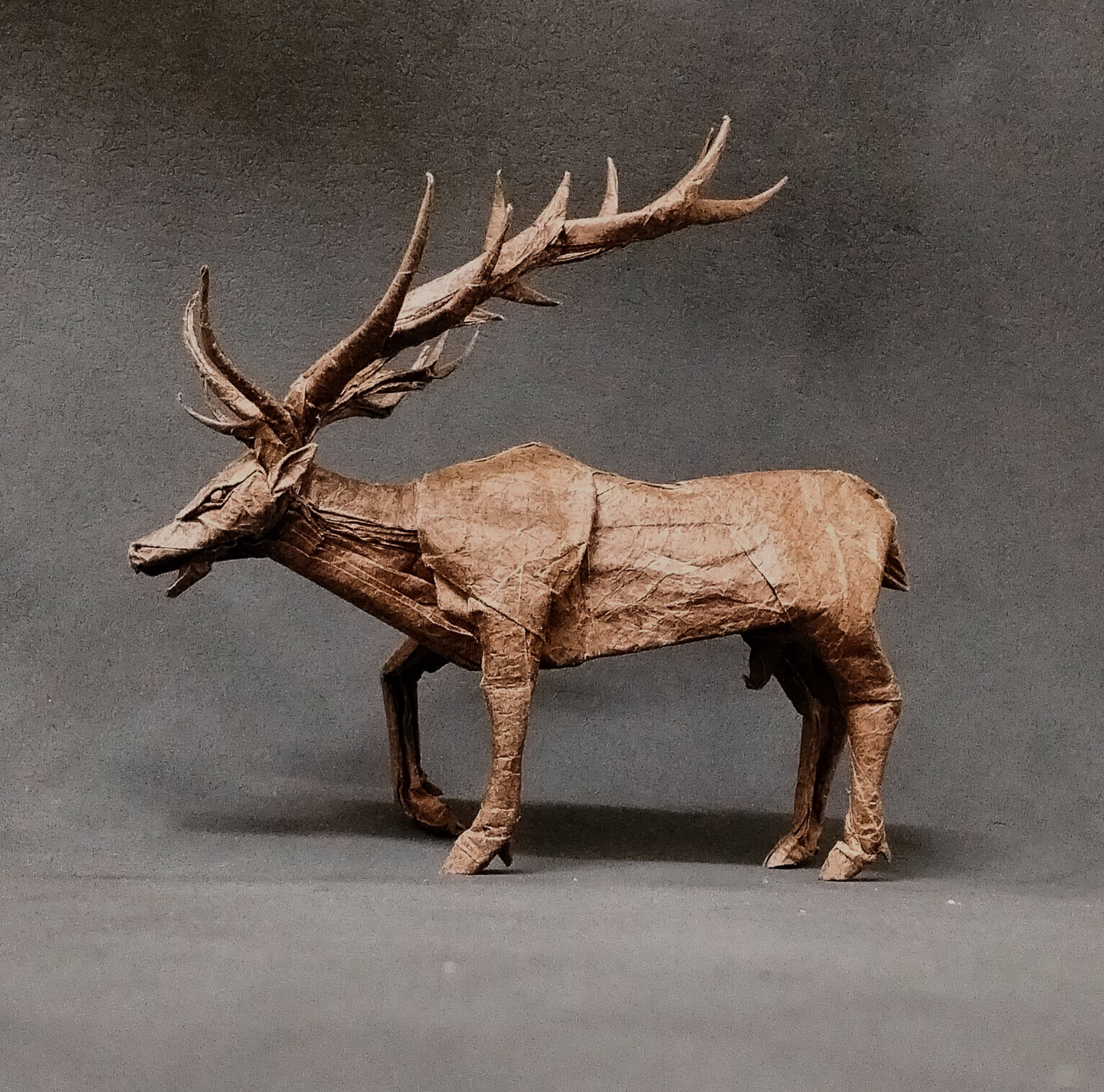 Origami ELK 3.5 Completed Piece - Exclusive Origami Model