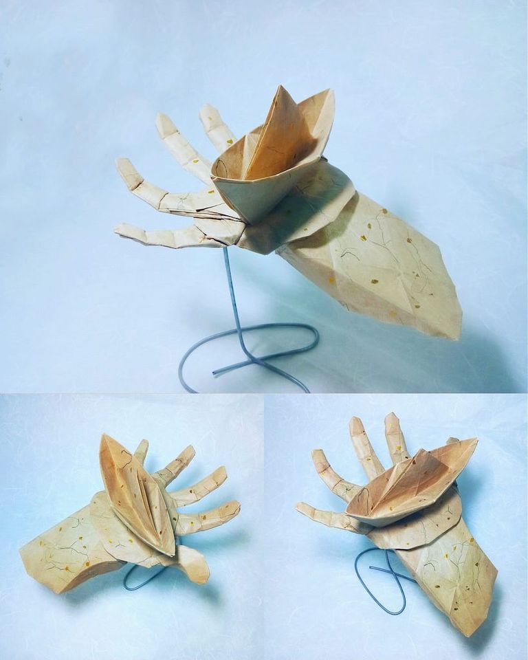 Origami Hand Instruction Diagram - Hand and boat Ebook- Origami boat on hand