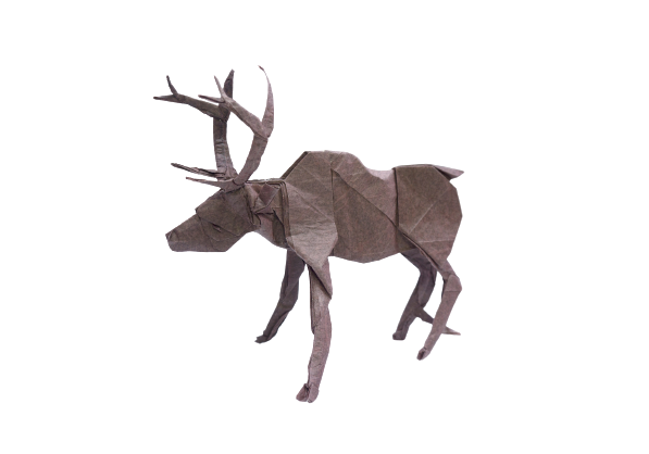 Origami Reindeer Instruction Diagram - Origami Deer Ebook