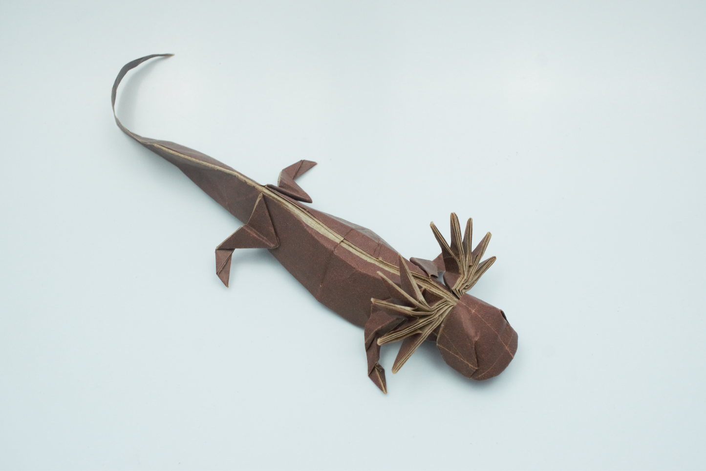 Origami Axolotl Diagram Instruction - Axolotl Salamander Ebook
