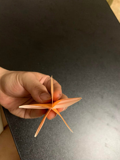 Origami Sakura Blossom Photodiagram - Pham Hoang Tuan Sakura Instruction
