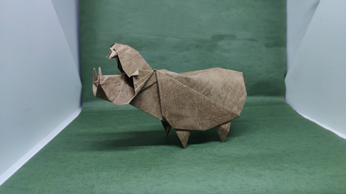 ORIGAMI HIPPOS PHOTO-DIAGRAM INSTRUCTION
