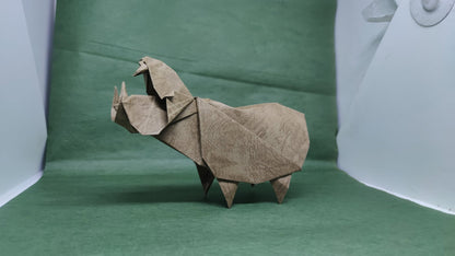 ORIGAMI HIPPOS PHOTO-DIAGRAM INSTRUCTION