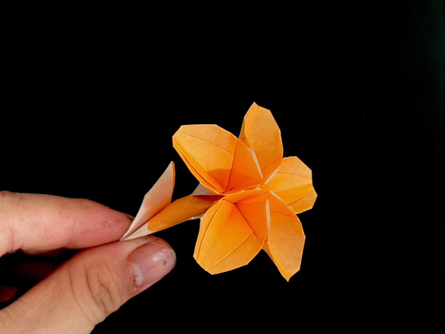 Origami Sakura Blossom Photodiagram - Pham Hoang Tuan Sakura Instruction