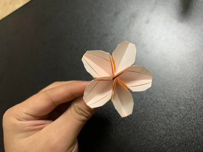 Origami Sakura Blossom Photodiagram - Pham Hoang Tuan Sakura Instruction