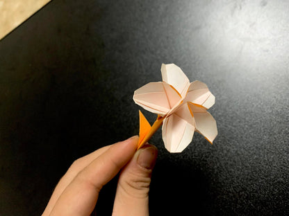 Origami Sakura Blossom Photodiagram - Pham Hoang Tuan Sakura Instruction