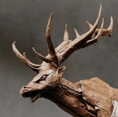 Origami ELK 3.5 Completed Piece - Exclusive Origami Model