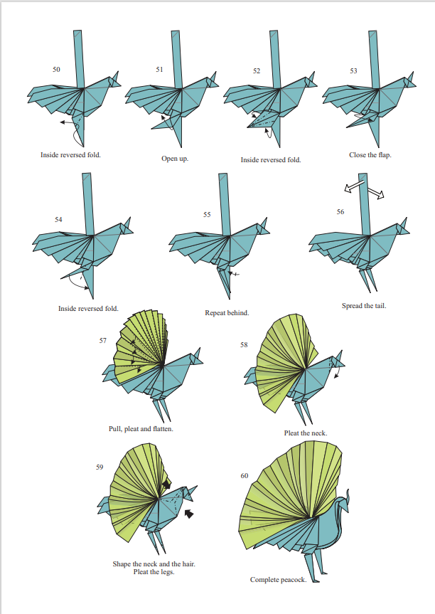 Origami Peacock Instruction Diagram - Origami Peacock Ebook