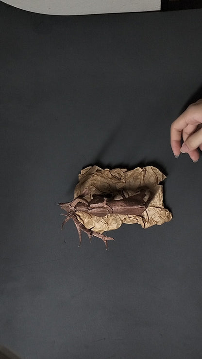 Origami ELK 3.5 Completed Piece - Exclusive Origami Model