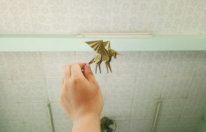 Simple Pegasus Diagram Instruction Ebook