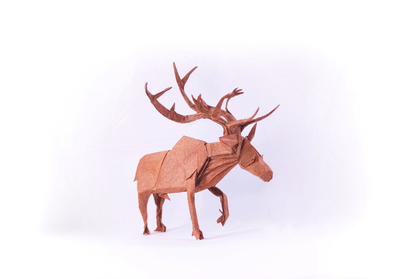 Origami ELK 3.5 DIAGRAM EBOOK PDF - Deer instruction book.