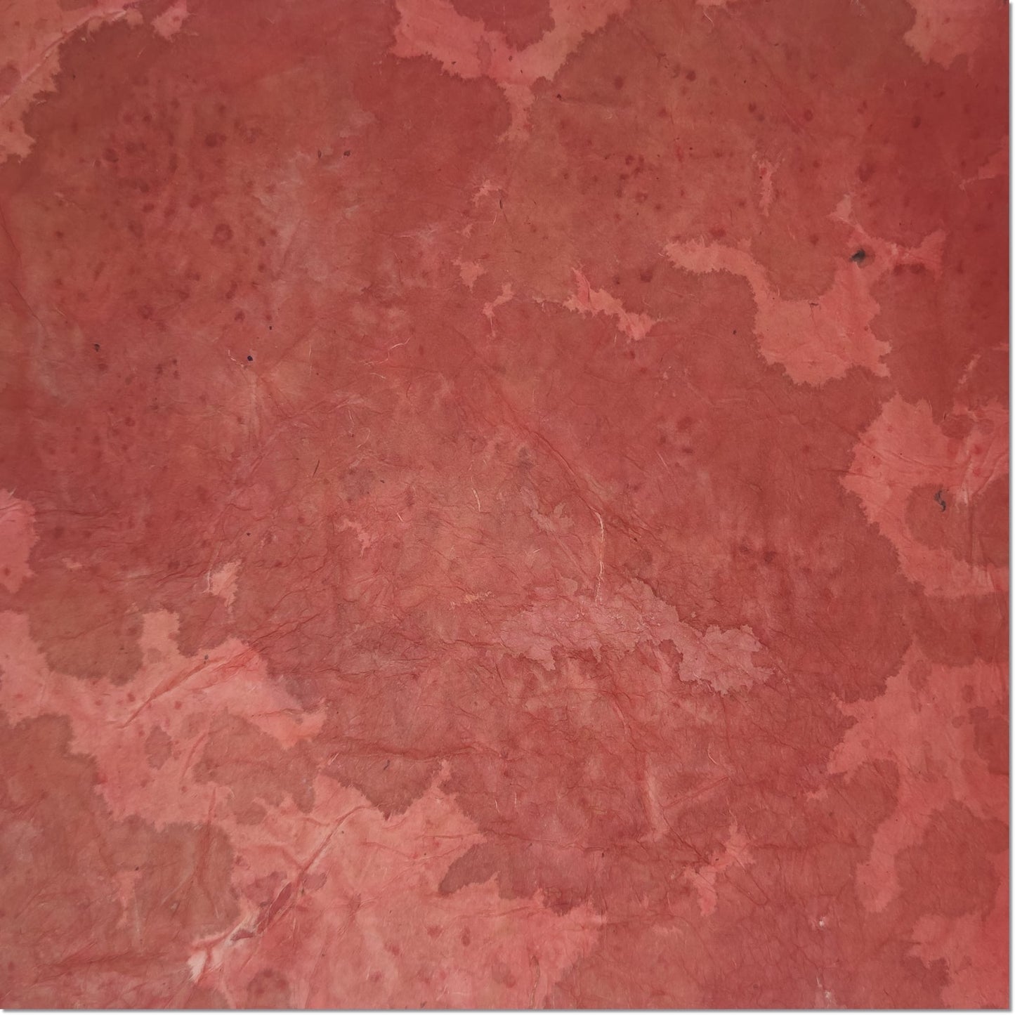 TAPA DUONG PAPER - Vietnamese fiber origami paper- Calligraphy paper
