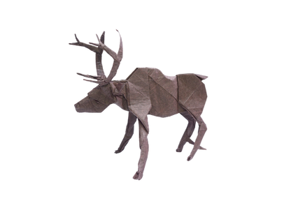 Origami Reindeer Instruction Diagram - Origami Deer Ebook
