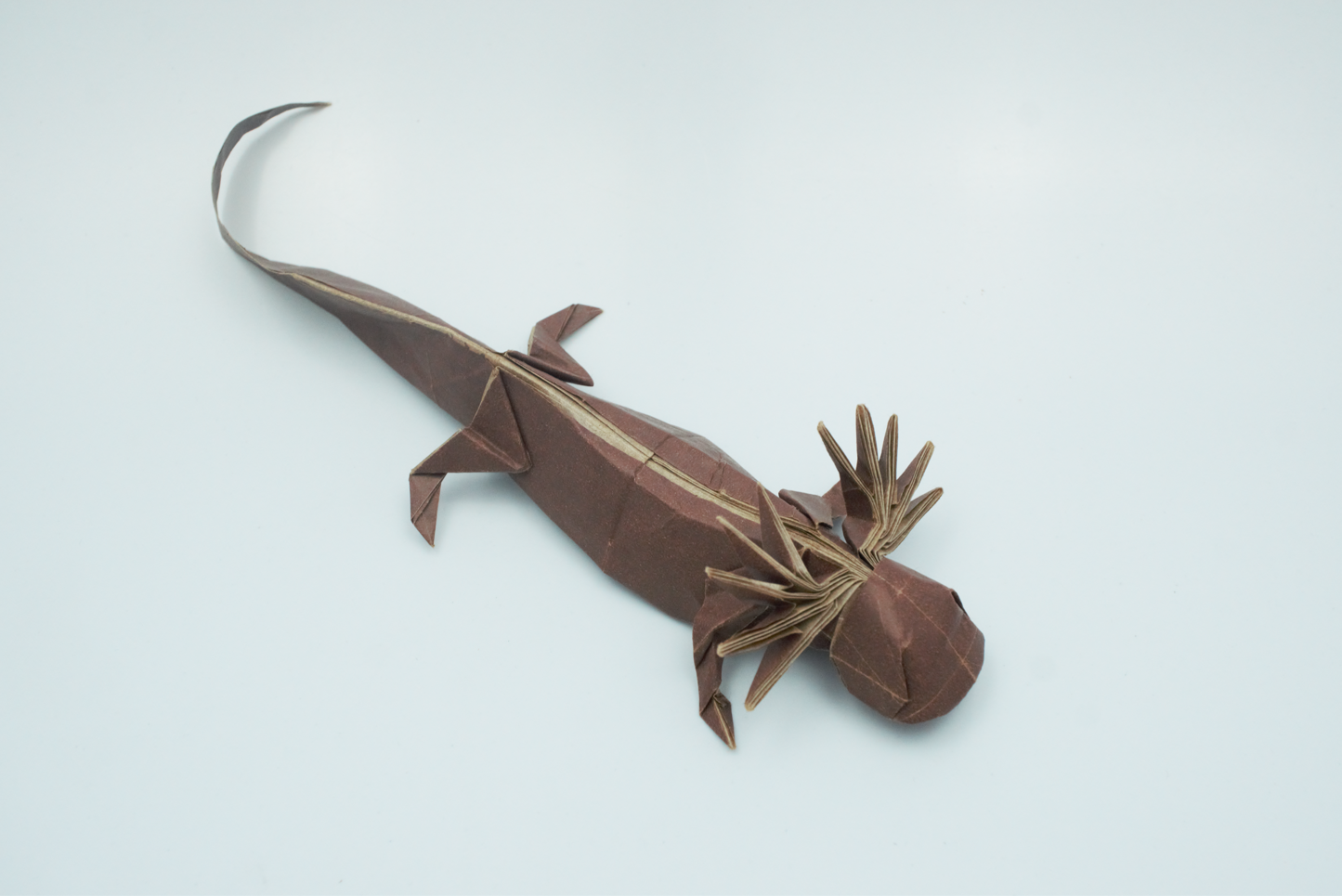 Origami Axolotl Diagram Instruction - Axolotl Salamander Ebook – Hoang ...
