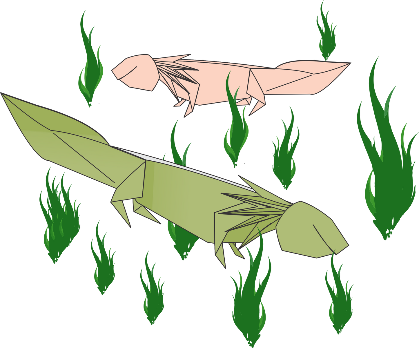 Origami Axolotl Diagram Instruction - Axolotl Salamander Ebook