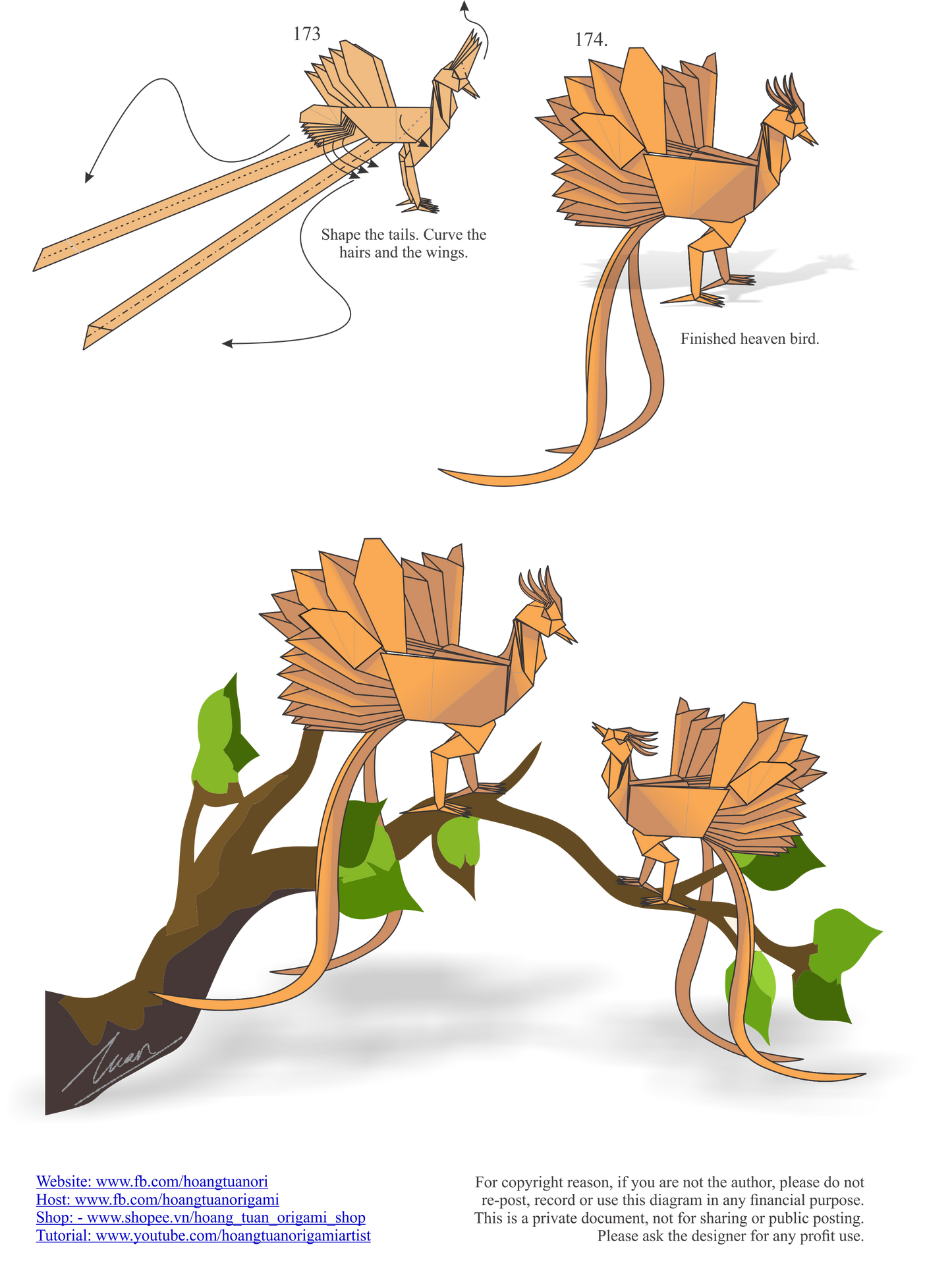 Origami Heaven Bird Instruction Diagram - Bird of Paradise Ebook