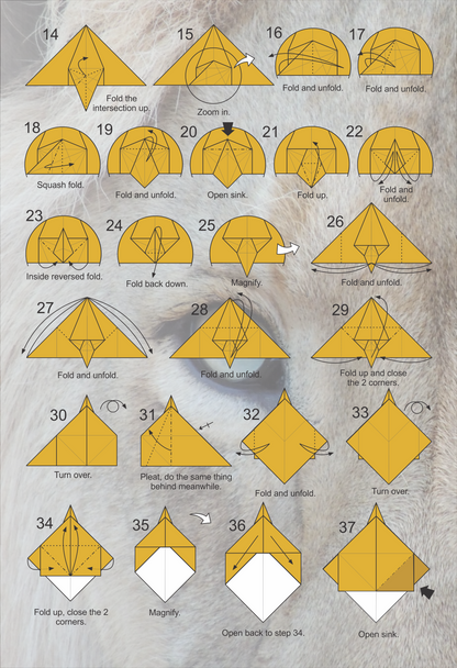 Origami Lion Instruction Diagram - The Lion King Ebook