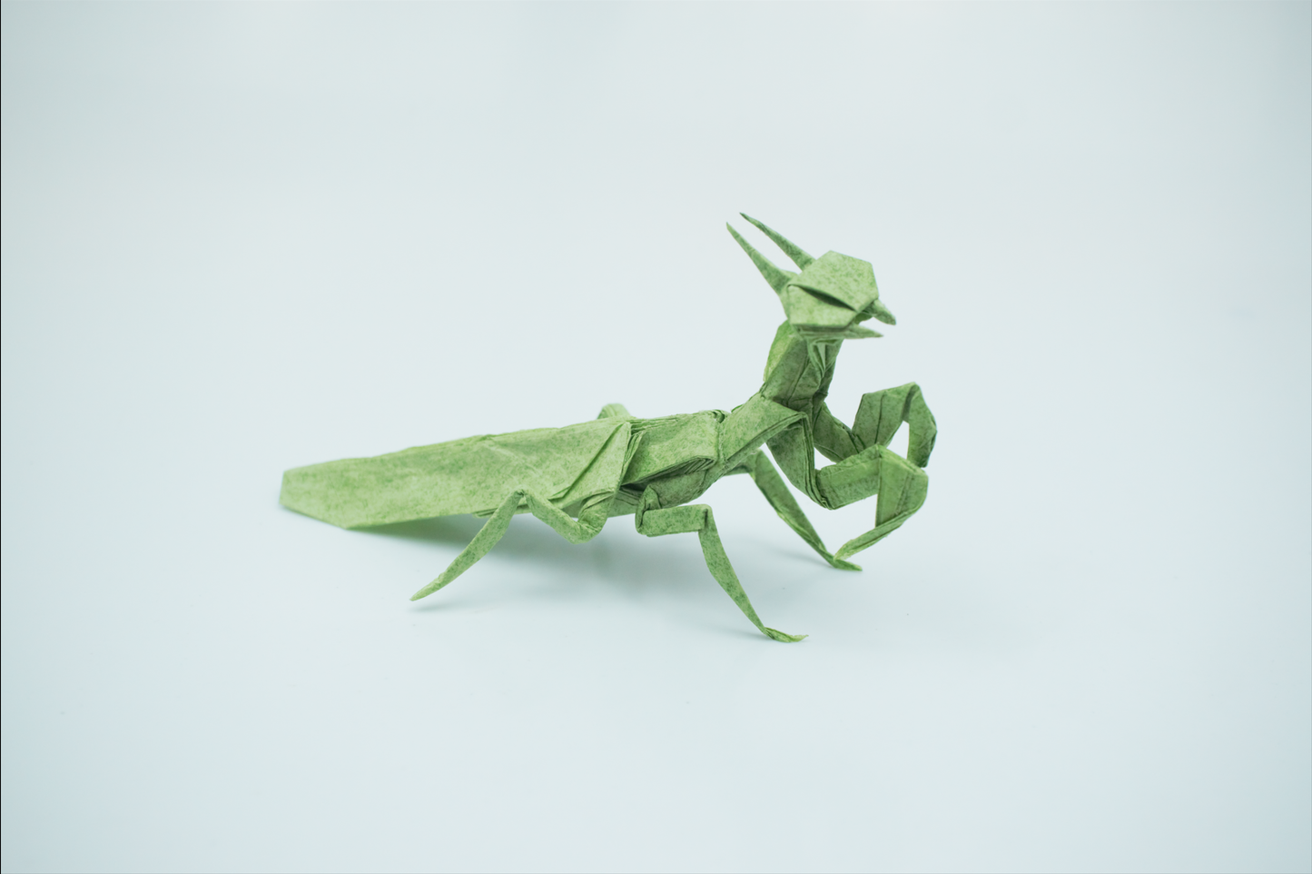 Origami Mantis Instruction Diagram - Praying Mantis Origami Ebook